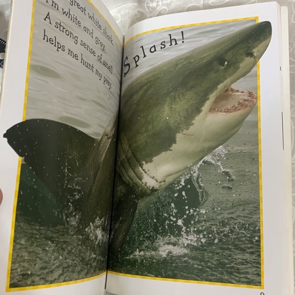 Petting Zoo Atlantis 3 piece Shark plush book bundle 3D lenticular book cover - Picture 5 of 12